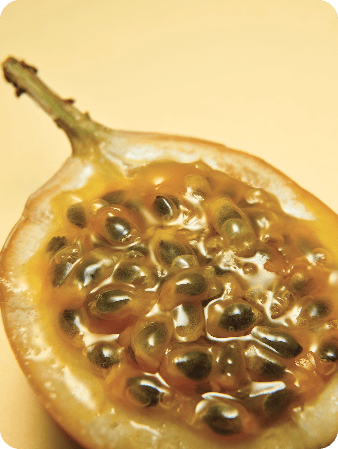 Les vergers Boiron - fruits