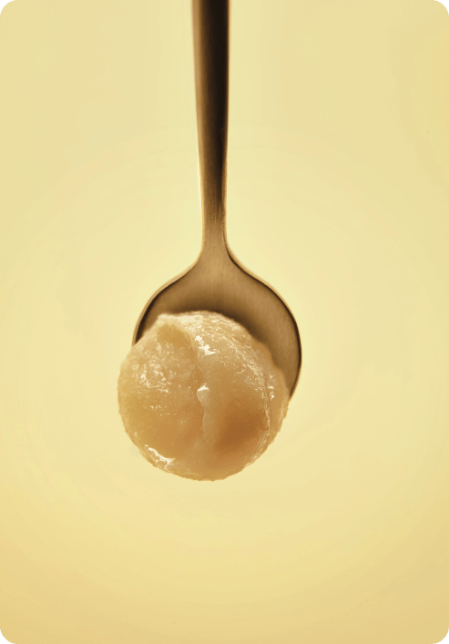 Les vergers Boiron - purée de fruits