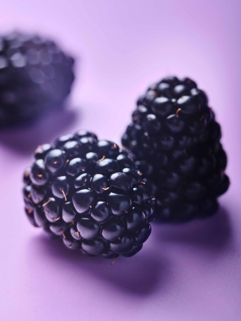 Les vergers Boiron - mûre