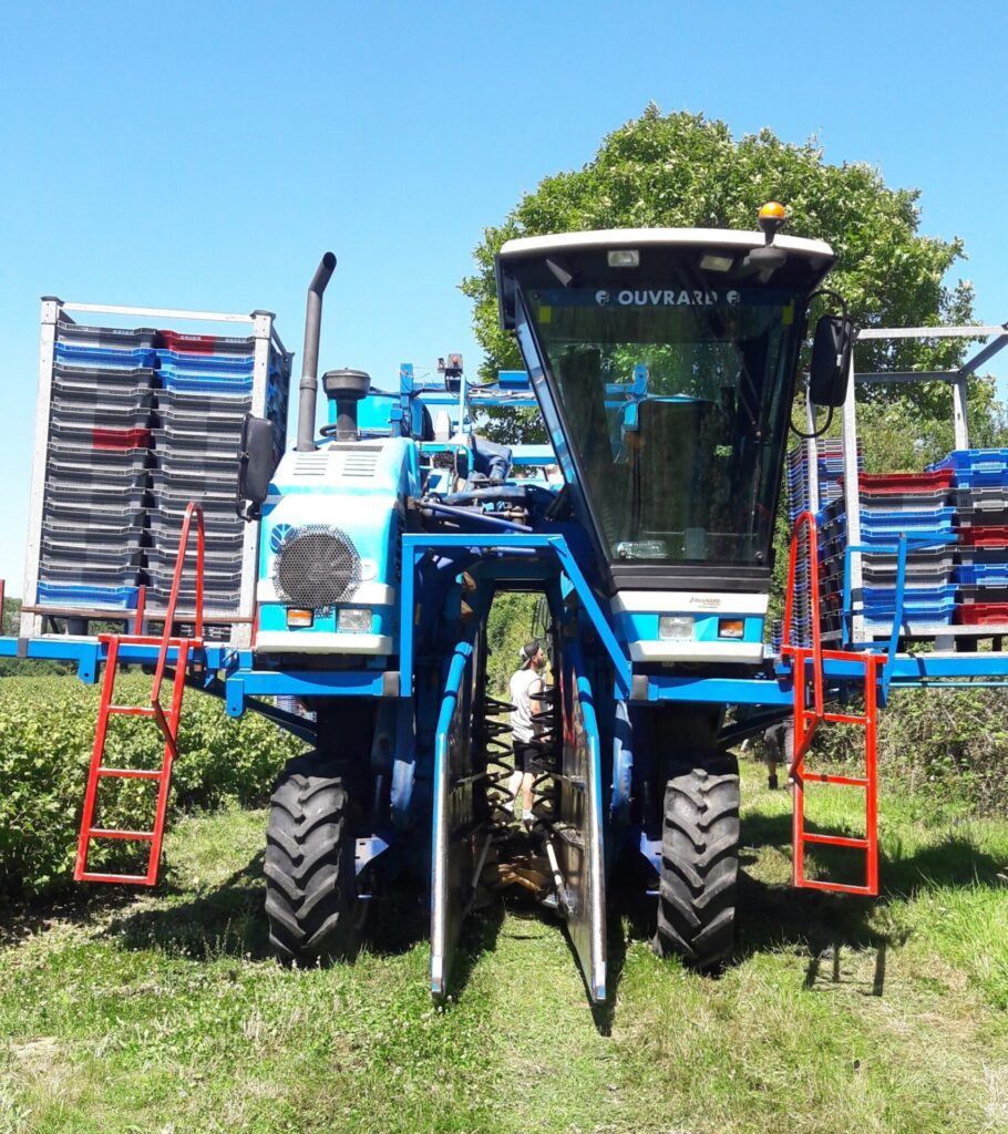 Cassis Exploitation 2