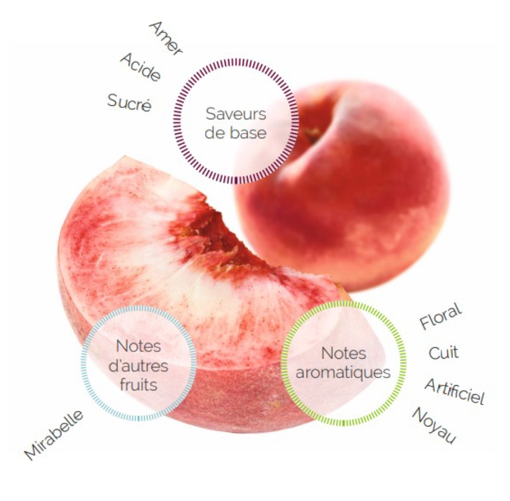 Les vergers Boiron - Peche