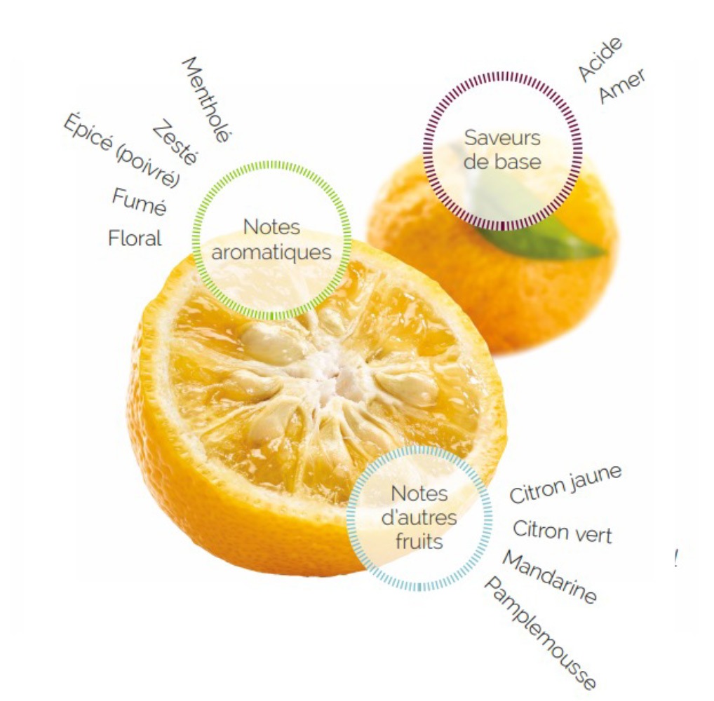 Les vergers Boiron - Yuzu