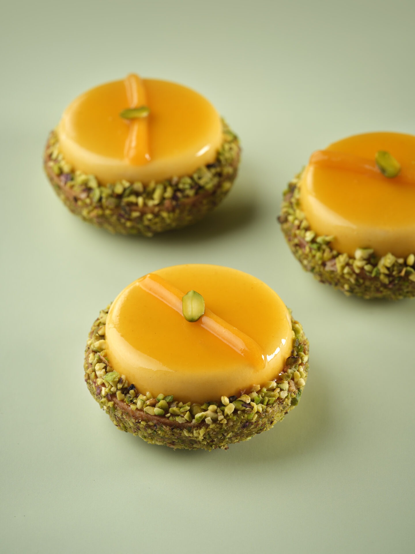 Vergers Boiron 001 (1)